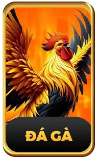 new88 đá gà